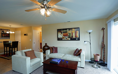 1003 Timberline West 1-3 Beds Apartment for Rent Photo Gallery 1